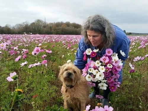 Eleanor Garvin stands in a field of purple and pink flowers, petting one of her pet dogs