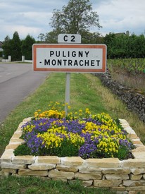 DISCOVER PULIGNY MONTRACHET MIXED WHITE CASE